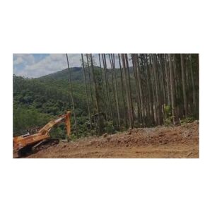 Máquina florestal em operação, aplicação ilustrativa do cabo de aço compactado 14 mm